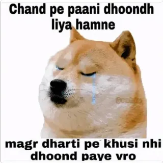 😭 Chand pe paani dhoondh liya hamne
magr dharti pe khusi nhi dhoond paye vro Doge, Chó, Meme, Vui, Buồn, Mặt trăng, Nước, Khóc telegram sticker