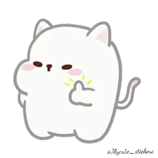 🐱 кот, животное, милый, грубый, средний палец, оскорбительный whatsapp sticker