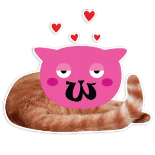 😍 Katze, Tier, Aufkleber, süß, Haustier, Herzen telegram sticker