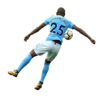 💣 Fernandinho FERNANDINHO foot, athlète, football, Manchester City, sport telegram sticker
