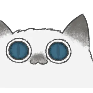 😳 kat, dier, schattig, ogen, huisdier, kitten whatsapp sticker