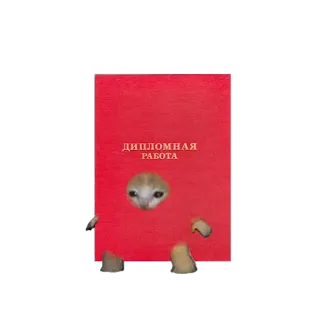 ❤️ ДИПЛОМНАЯ РАБОТА cat, diploma, graduation, cute, red telegram sticker