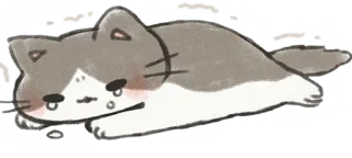 😢 Katze, Tier, süß, faul, Aufkleber, grau, weiß, Cartoon whatsapp sticker