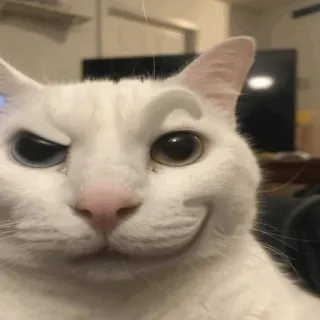 😏 gatto, animale, bianco, che ammicca, sorrisetto telegram sticker