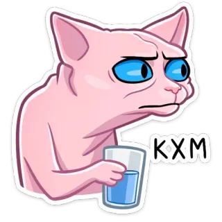 🤨 KXM Katze, Sphynx, Meme, Lustig, Trinken, Wasser, Gesichtsausdruck, Cartoon telegram sticker
