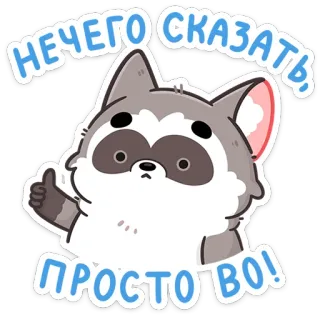 👍 НЕЧЕГО СКАЗАТЬ! ПРОСТО ВО! szop, słodki, naklejka, zwierzę, kreskówka, kciuk w górę whatsapp sticker