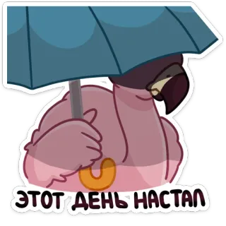 😔 ЭТОТ ДЕНЬ НАСТАЛ 鳥, オウム, 傘, 雨, 漫画, ステッカー, 動物 telegram sticker