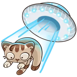 Котик :: @stickroom telegram stickers