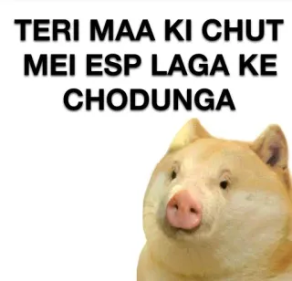 🐷 TERI MAA KI CHUT
MEI ESP LAGA KE
CHODUNGA offensant, insulte, cochon whatsapp sticker