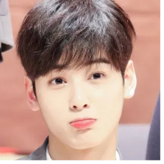 😕 Cha Eun-woo kpop, acteur, chanteur, idole, célébrité whatsapp sticker