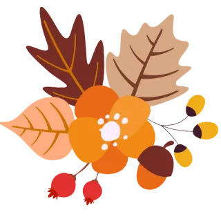 💐 outono, folhas de outono, folhas, flores, bolotas, bagas, decorativo, sazonal telegram sticker