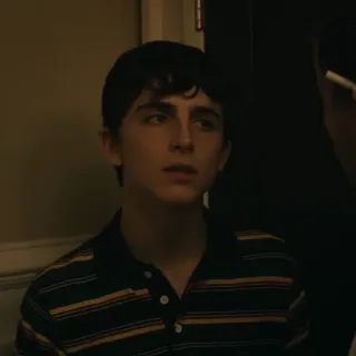 😕 Timothée Chalamet актер, портрет, знаменитость, мужчина, Тимоти Шаламе whatsapp sticker