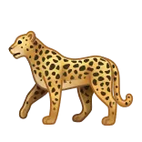🐆