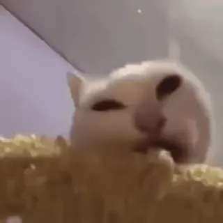 Больше стиков тут: @stikery4 whatsapp stickers
