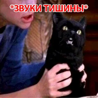😄 *ЗВУКИ ТИШИНЫ* 猫, 面白い, ミーム, 黒猫, 沈黙の音 telegram sticker