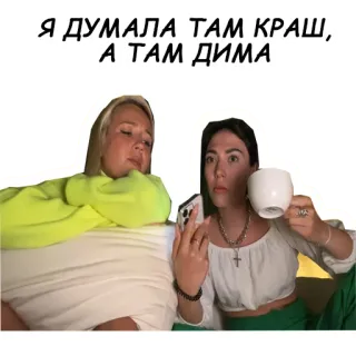 🤢 Я ДУМАЛА ТАМ КРАШ, А ТАМ ДИМА telegram sticker