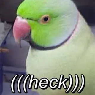 😕 (((heck))) perroquet, oiseau, mème, drôle, mignon, animal telegram sticker