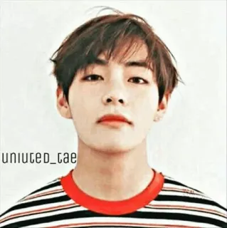 🌿 uniuted_tae Mann, männlich, Porträt, Person, Kpop, Idol whatsapp sticker