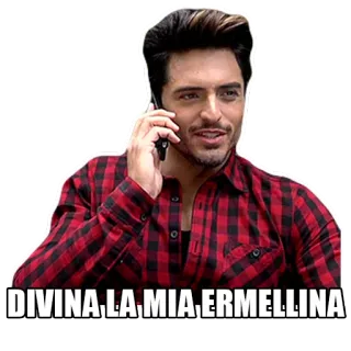 😇 DIVINA LA MIA ERMELLINA мужчина, телефон, итальянский, выражение, фланель, актер whatsapp sticker