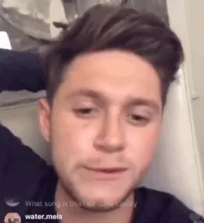 🎸 Niall Horan What song is this for quick useability homem, pessoa, rosto, jovem, cantor telegram sticker