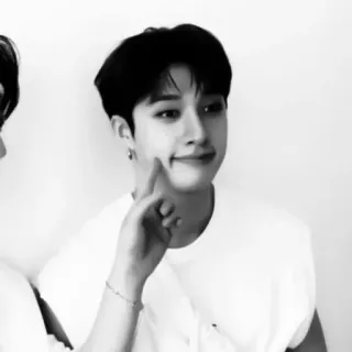 ♟ Bang Chan K-pop, 偶像, 歌手, 韩国, 男性, 酒窝, 肖像 telegram sticker