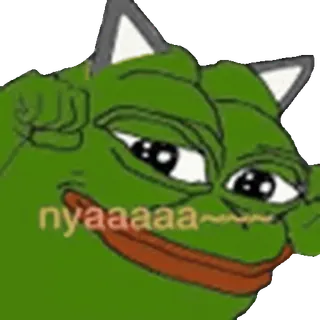 🐱