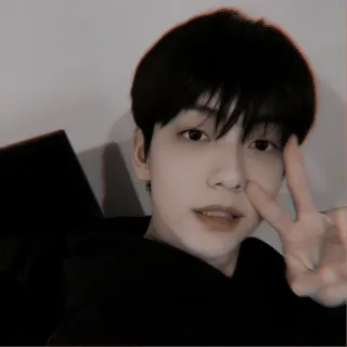 ⛅️ person, man, kpop, selfie, peace sign, asian telegram sticker