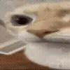 😑