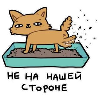 😉 НЕ НА НАШЕЙ СТОРОНЕ chat, litière, drôle, dessin animé, animal de compagnie, animal, mème telegram sticker