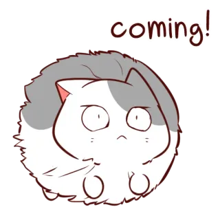 🏃‍♀️ coming! gato, fofo, animal, em breve, desenho animado telegram sticker