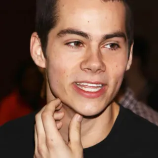 📎 Dylan O'Brien aktor, selebriti, potret telegram sticker