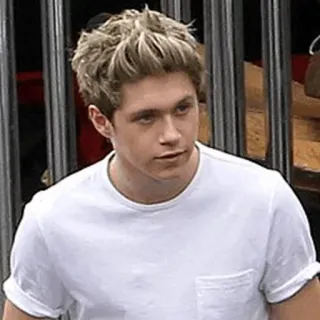 🌙 Niall Horan Musiker, Promi, Sänger, Porträt, blonde Haare telegram sticker
