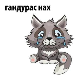 ☹️ 猫, 悲しい, 泣く, かわいい, 漫画, 動物, ステッカー, グレー telegram sticker