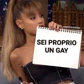 🏳️‍🌈 SEI PROPRIO UN GAY texto, insultante, italiano, ofensivo whatsapp sticker