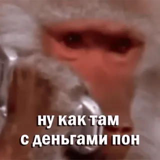 📞 ну как там с деньгами пон whatsapp sticker