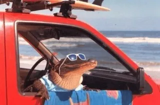 😎 alligator, crocodile, lunettes de soleil, voiture, plage, planche de surf, été, vacances telegram sticker