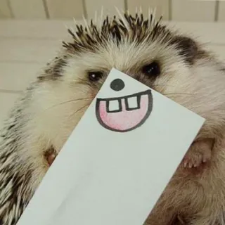 🦔 riccio, animale, carino, denti, disegno whatsapp sticker