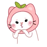 🥺 kucing, lucu, stiker, kartun, hewan, persik whatsapp sticker