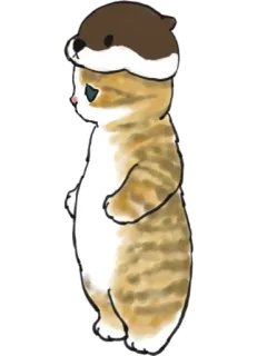 🦦 cat, otter, animal, cute, hat telegram sticker