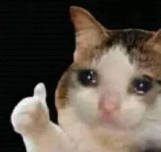 👍 gato, triste, meme, pulgar arriba telegram sticker