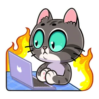 🔥 kucing, laptop, api, kartun, stiker whatsapp sticker