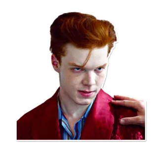 🤨 telegram sticker