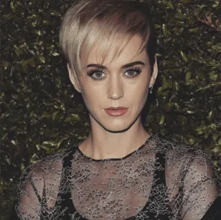 🏹 Katy Perry Katy Perry, penyanyi, selebriti, potret, wanita telegram sticker