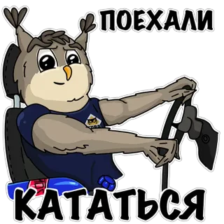 🏎 ПОЕХАЛИ КАТАТЬСЯ owl, driving, cartoon, animal, bird, car whatsapp sticker