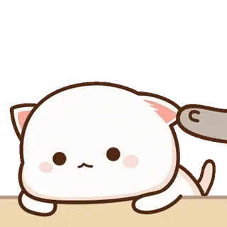 ⭐ cat, cute, animal, pet, kawaii telegram sticker