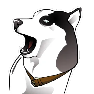 😱 chó, động vật, husky, dễ thương, nhãn dán telegram sticker