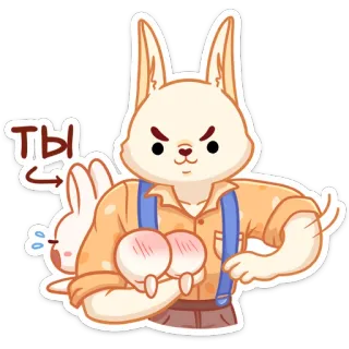 👋 Ты coelho, coelhinho, zangado, desenho animado, fofo, animal telegram sticker