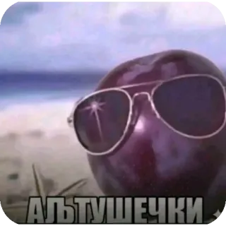 😎 АЛЬТУШЕЧКИ whatsapp sticker