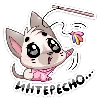 😍 Интересно... Katze, Kätzchen, süß, spielen, Aufkleber, animiert whatsapp sticker