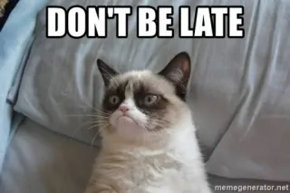 😌 Grumpy Cat DON'T BE LATE 暴躁猫, 表情包, 猫, 动物, 迟到, 警告 whatsapp sticker